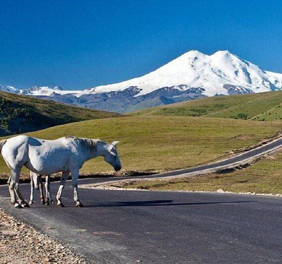 #ПосетиКавказ. Путешествие по Кабардино-Балкарии #ПосетиКавказ. Путешествие по Кабардино-Балкарии
